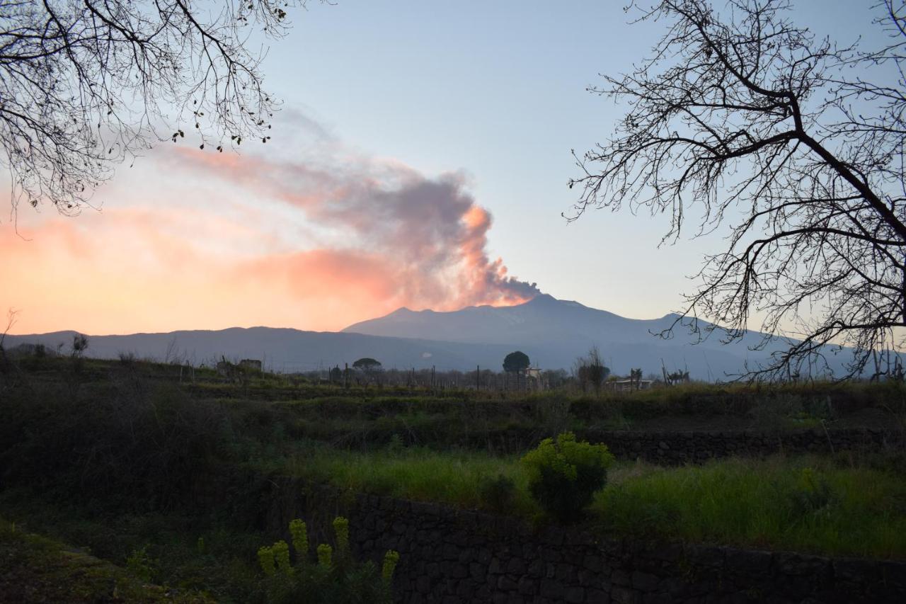Etna Tra Le Querce Vila Santa Venerina Exterior foto